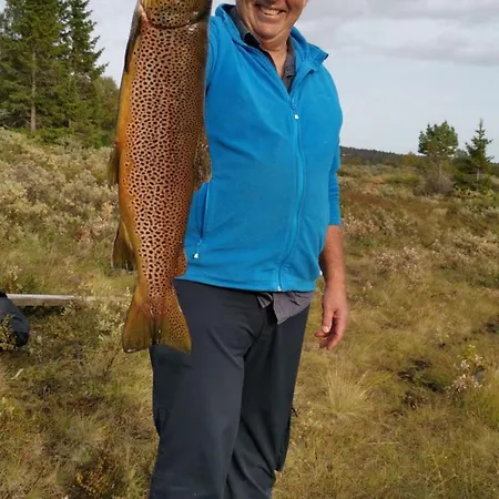Syndin Seter * Ryfoss