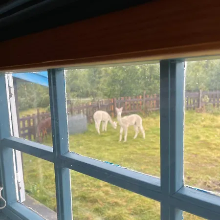 Syndin Seter Holiday home Ryfoss